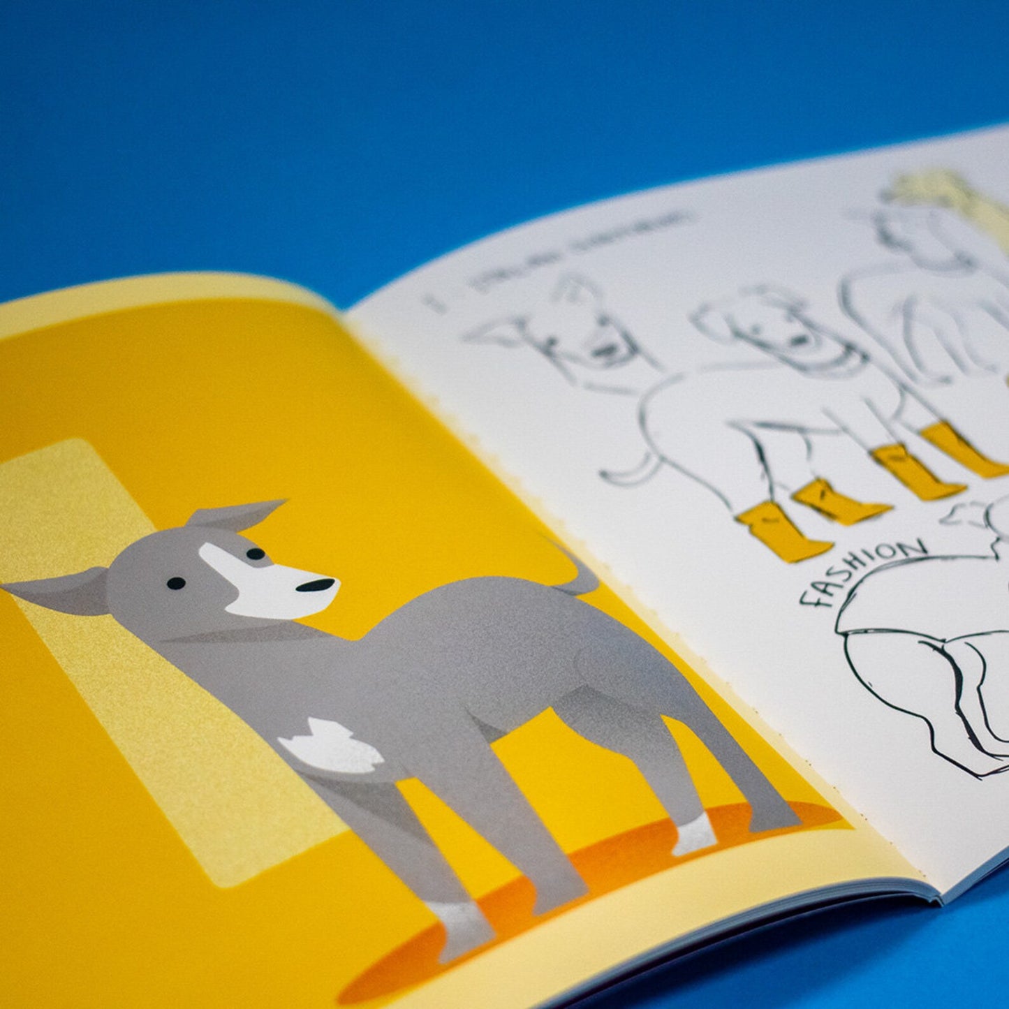 ABC DOG book